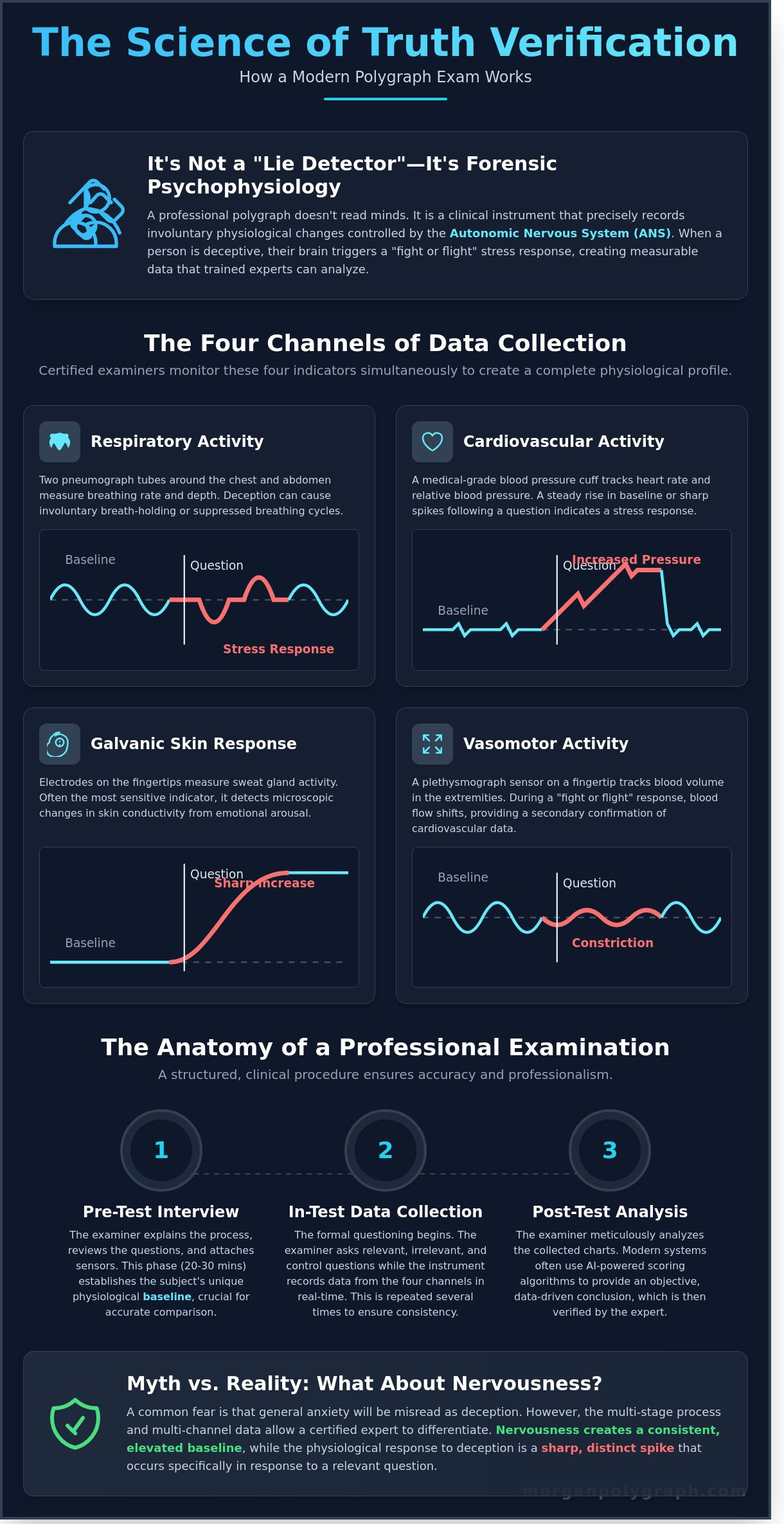 How Does the Polygraph Test Work? A Professional Guide for 2026