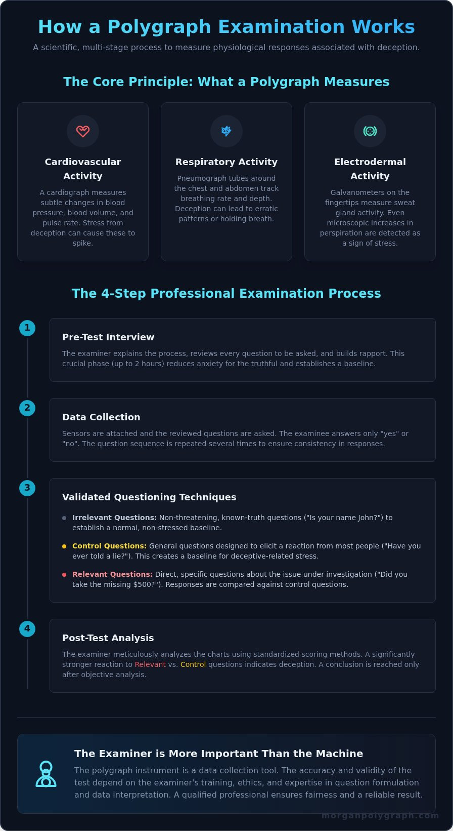 How Does a Polygraph Work? The Science of Truth Verification Explained